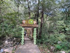 -大岭沟猕猴桃谷风景区
