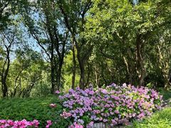 -西湖风景区-江洋畈生态公园