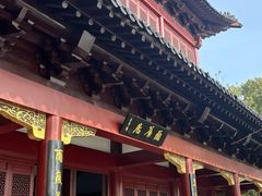 -南汇桃花村