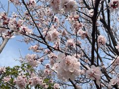 -狼山风景名胜区