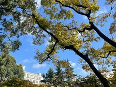 -云南师范大学(一二一西南联大校区)