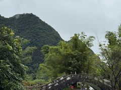-靖西鹅泉风景区