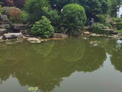 -铁山坪森林公园