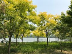 -东郊湿地公园