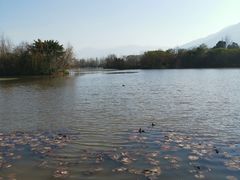 -西昌邛海湿地