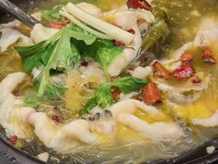 藤椒鲢鱼片-陶德砂锅居(育才路店)