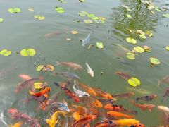 -嬉乐湾休闲旅游区