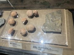 -烟台市博物馆