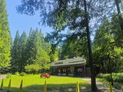 -黄海国家森林公园