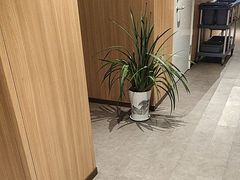 -护国寺小吃店(红莲南路店)