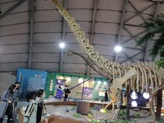 -辽宁古生物博物馆
