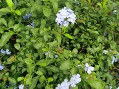 -杭州城北体育公园