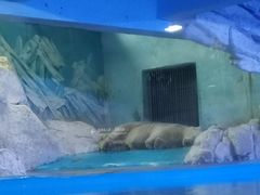 -蓬莱欧乐堡海洋极地世界