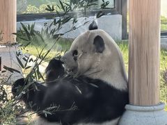 -无锡动物园·太湖欢乐园