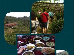 iphone_upload_pic-亮河湾山庄