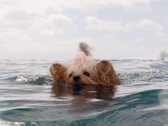 -悦江新远影城IMAX