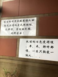 -梧桐照相馆(维景国际店)