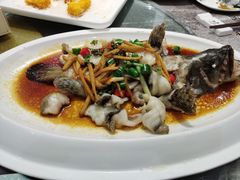 -猪肉婆私房菜(容桂总店)