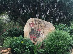 -滴水岩森林公园