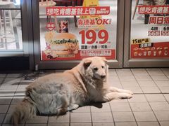 -肯德基(燕岭店)