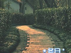 -西溪国家湿地公园