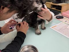 -宠福鑫康馨动物医院·骨科·眼科