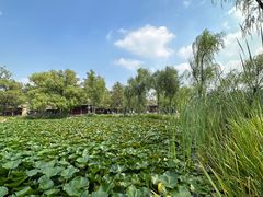 -承德避暑山庄景区