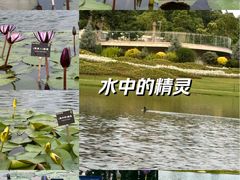 -上海植物园-4号门售票处
