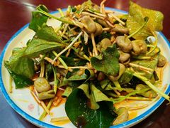 折耳根拌胡豆-胖大姐黄辣丁鱼庄(新津店)