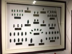 -上海昆虫博物馆