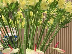 -上海前滩香格里拉大酒店