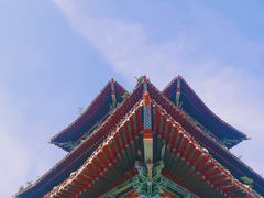 -曹州牡丹园