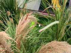 -何鲜菇火锅(大营盘店)