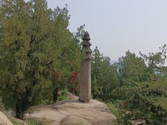-白水寺森林公园