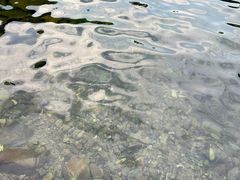 -水墨汀溪风景区