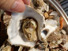 -赶海部落海鲜城(海阳路店)