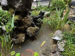 -古韵轩·江浙融合菜(梁溪店)