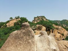 -大岭沟猕猴桃谷风景区