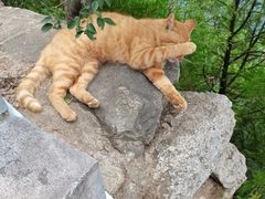 -终南山南五台景区