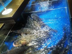 -炊江南·上海菜(国展华漕店)