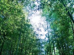 -径山寺