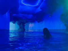 -重庆海昌加勒比海水世界