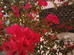 -潇湘·永州会馆(百子湾店)