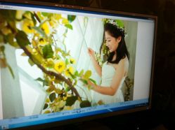 -苏菲亚婚纱影楼尊爵店(昆区店)