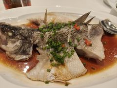 -眉州东坡(博雅店)
