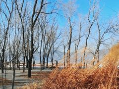 -野鸭湖国家湿地公园