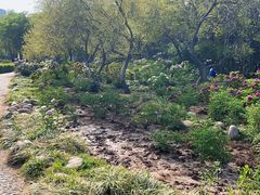 -洛阳市隋唐城遗址植物园