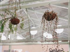 -Seesaw Coffee(上海太阳宫K46店)