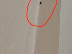 -京都饺子(双塔西街店)