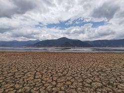 -纳帕海依拉草原